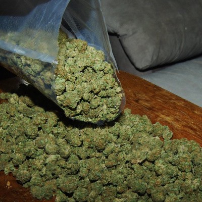 марихуана семена как выглядят